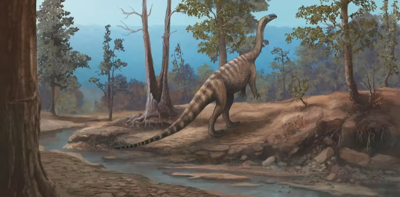 Zimbabwe’s dinosaurs were different from South Africa’s: new species offers clues